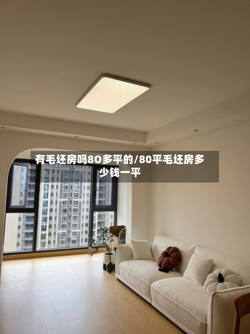 有毛坯房吗8O多平的/80平毛坯房多少钱一平-第1张图片