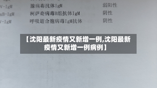 【沈阳最新疫情又新增一例,沈阳最新疫情又新增一例病例】-第1张图片