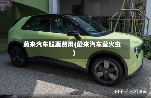 蔚来汽车股票费用(蔚来汽车萤火虫)-第1张图片