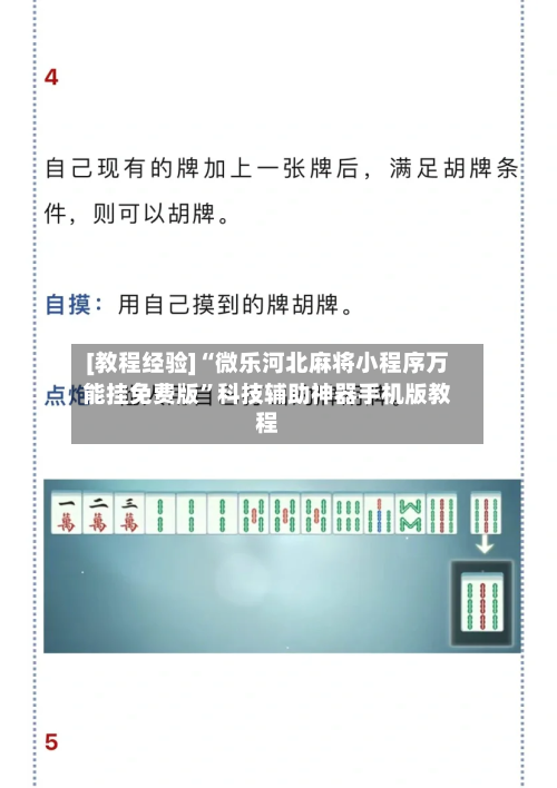 [教程经验]“微乐河北麻将小程序万能挂免费版”科技辅助神器手机版教程-第3张图片
