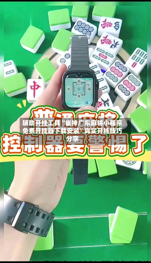 辅助开挂工具“雀神广东麻将小程序免费开挂器下载安装	”真实开挂技巧分享-第3张图片