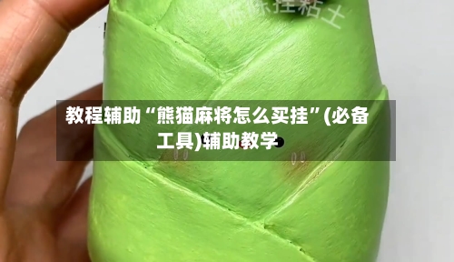 教程辅助“熊猫麻将怎么买挂”(必备工具)辅助教学-第2张图片