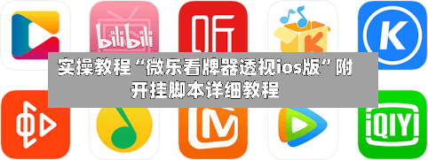 实操教程“微乐看牌器透视ios版”附开挂脚本详细教程-第2张图片