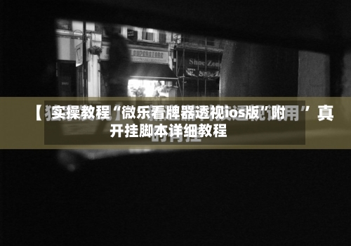 实操教程“微乐看牌器透视ios版	”附开挂脚本详细教程-第1张图片