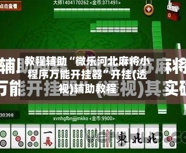 教程辅助“微乐河北麻将小程序万能开挂器	”开挂(透视)辅助教程-第2张图片