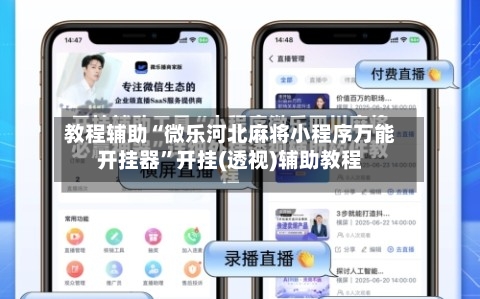 教程辅助“微乐河北麻将小程序万能开挂器”开挂(透视)辅助教程-第3张图片