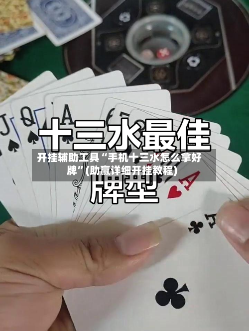 开挂辅助工具“手机十三水怎么拿好牌”(助赢详细开挂教程)-第2张图片