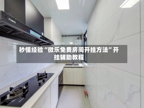 秒懂经验“微乐免费房间开挂方法”开挂辅助教程-第2张图片