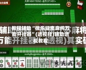 教程辅助“微乐湖南麻将万能开挂器	”(透视挂)辅助透视教程-第2张图片