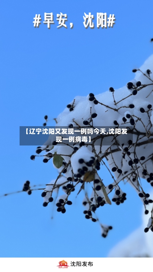 【辽宁沈阳又发现一例吗今天,沈阳发现一例病毒】-第1张图片