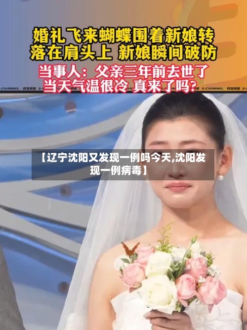 【辽宁沈阳又发现一例吗今天,沈阳发现一例病毒】-第2张图片