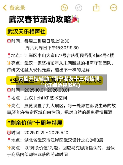 万能开挂辅助“南宁老友十三有挂吗	”(详细透视教程)-第1张图片
