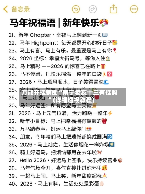 万能开挂辅助“南宁老友十三有挂吗”(详细透视教程)-第2张图片