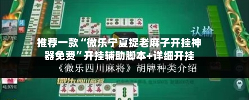 推荐一款“微乐宁夏捉老麻子开挂神器免费	”开挂辅助脚本+详细开挂-第2张图片