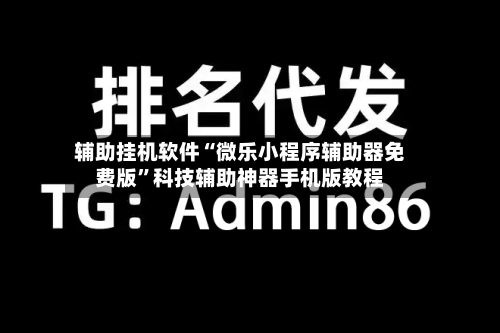 辅助挂机软件“微乐小程序辅助器免费版	”科技辅助神器手机版教程-第3张图片