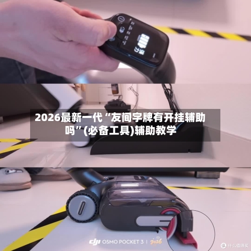 2026最新一代“友间字牌有开挂辅助吗	”(必备工具)辅助教学-第1张图片