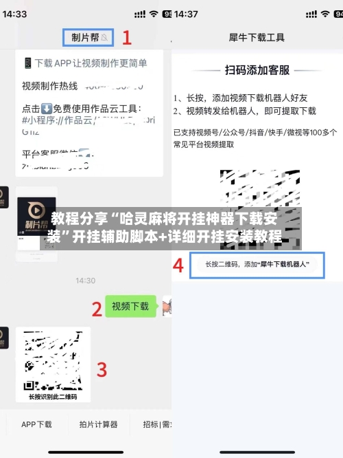 教程分享“哈灵麻将开挂神器下载安装”开挂辅助脚本+详细开挂安装教程-第2张图片