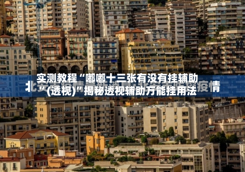 实测教程“嘟嘟十三张有没有挂辅助”(透视)	”揭秘透视辅助万能挂用法-第3张图片