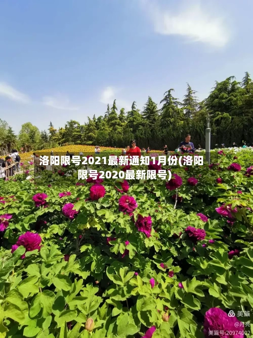洛阳限号2021最新通知1月份(洛阳限号2020最新限号)-第1张图片