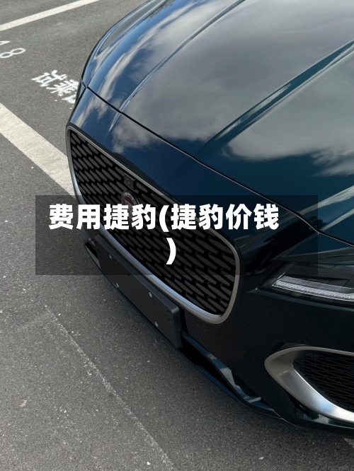 费用捷豹(捷豹价钱)-第2张图片