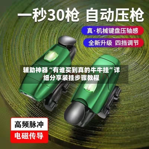 辅助神器“有谁买到真的牛牛挂”详细分享装挂步骤教程-第3张图片