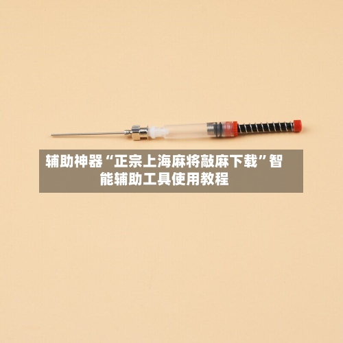 辅助神器“正宗上海麻将敲麻下载	”智能辅助工具使用教程-第2张图片