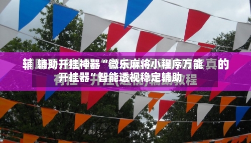 辅助开挂神器“微乐麻将小程序万能开挂器”智能透视稳定辅助-第3张图片