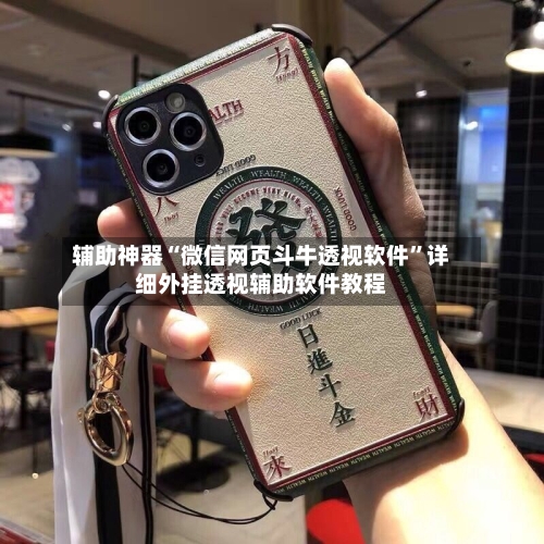 辅助神器“微信网页斗牛透视软件”详细外挂透视辅助软件教程-第2张图片