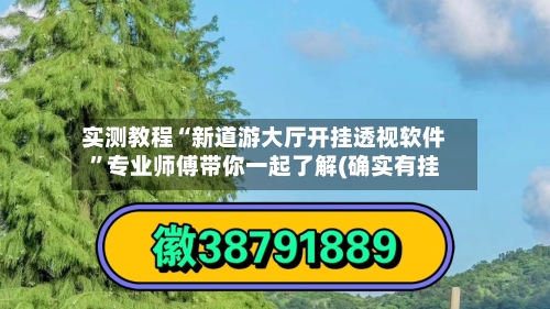 实测教程“新道游大厅开挂透视软件	”专业师傅带你一起了解(确实有挂-第1张图片