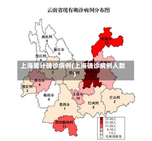 上海累计确诊病例(上海确诊病例人数)-第2张图片