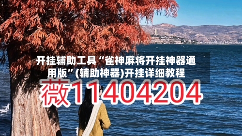开挂辅助工具“雀神麻将开挂神器通用版”(辅助神器)开挂详细教程-第3张图片