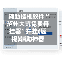 辅助挂机软件“泸州大贰免费开挂器”开挂(透视)辅助神器-第2张图片