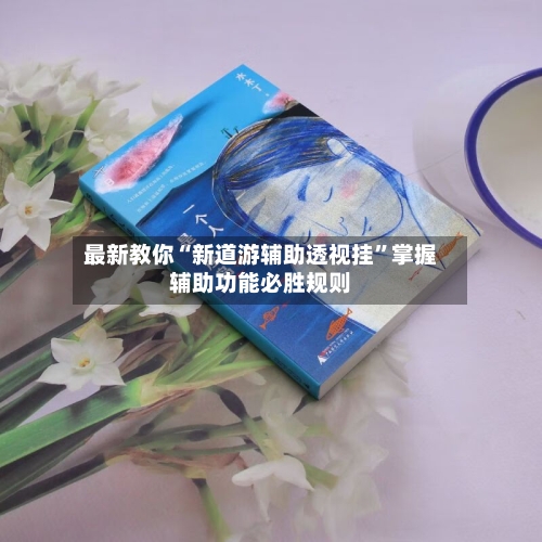 最新教你“新道游辅助透视挂	”掌握辅助功能必胜规则-第2张图片