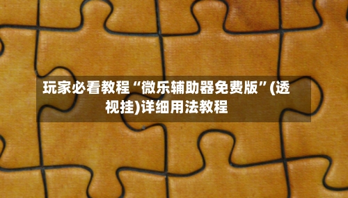 玩家必看教程“微乐辅助器免费版”(透视挂)详细用法教程-第1张图片