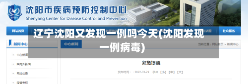辽宁沈阳又发现一例吗今天(沈阳发现一例病毒)-第1张图片