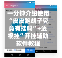 一分钟介绍使用“皮皮跑胡子究竟有挂吗”+透视挂	”开挂辅助软件教程-第1张图片