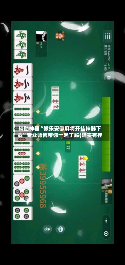 辅助神器“微乐安徽麻将开挂神器下载”专业师傅带你一起了解(确实有挂-第3张图片