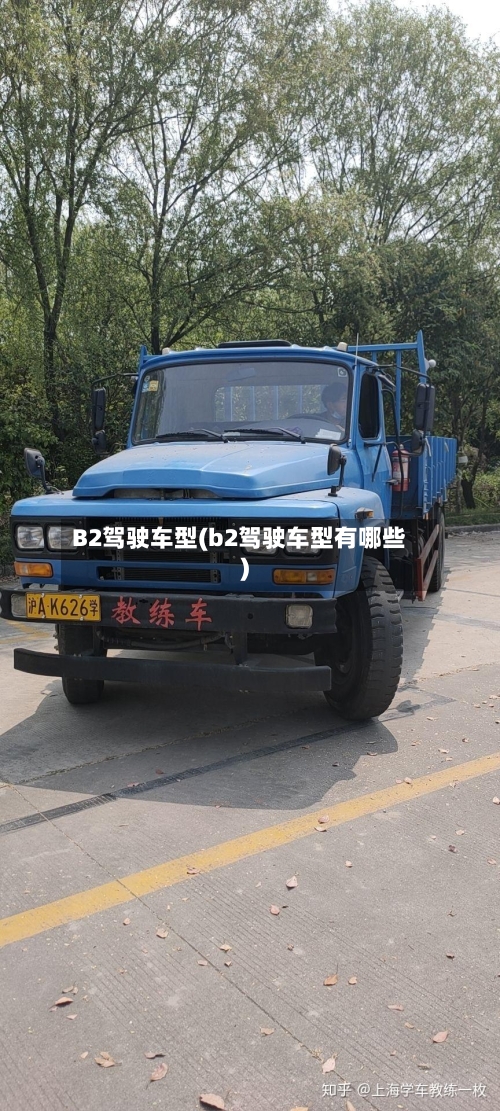 B2驾驶车型(b2驾驶车型有哪些)-第2张图片
