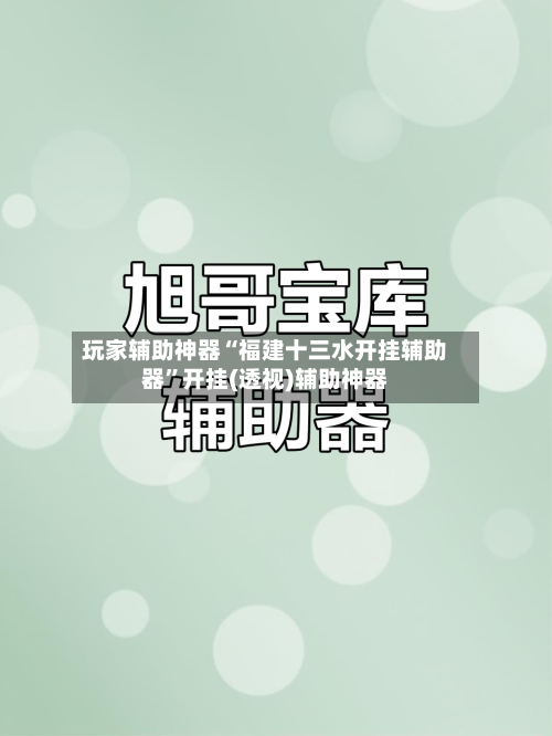 玩家辅助神器“福建十三水开挂辅助器”开挂(透视)辅助神器-第1张图片