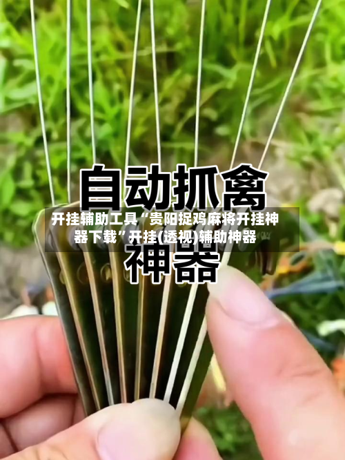 开挂辅助工具“贵阳捉鸡麻将开挂神器下载”开挂(透视)辅助神器-第2张图片
