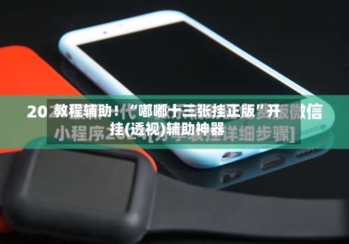 教程辅助！“嘟嘟十三张挂正版”开挂(透视)辅助神器-第1张图片