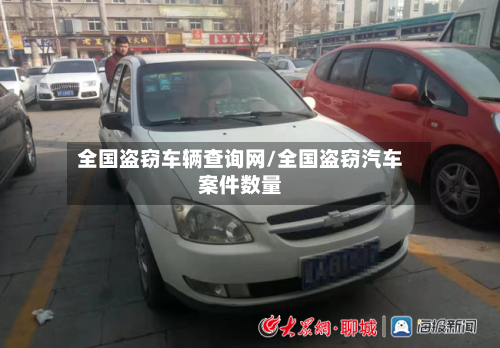 全国盗窃车辆查询网/全国盗窃汽车案件数量-第3张图片