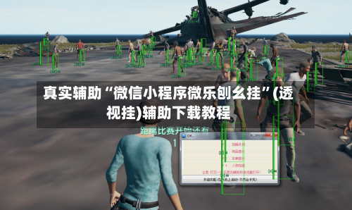 真实辅助“微信小程序微乐刨幺挂	”(透视挂)辅助下载教程-第1张图片