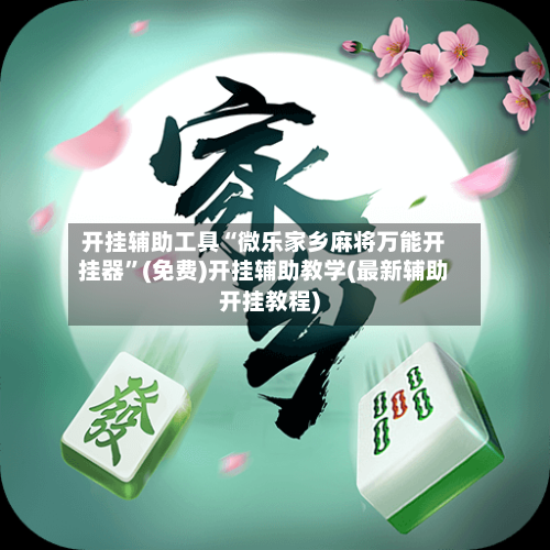 开挂辅助工具“微乐家乡麻将万能开挂器”(免费)开挂辅助教学(最新辅助开挂教程)-第3张图片