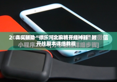 真实辅助“微乐河北麻将开挂神器	”附开挂脚本详细教程-第2张图片