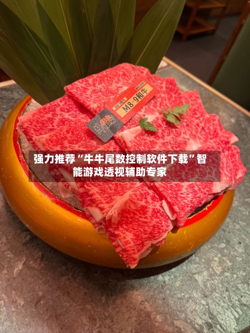 强力推荐“牛牛尾数控制软件下载”智能游戏透视辅助专家-第2张图片