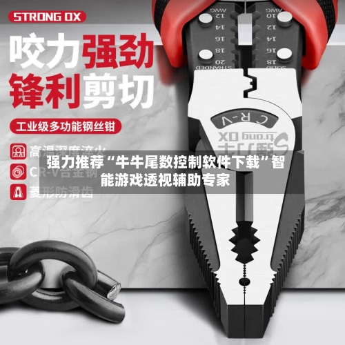强力推荐“牛牛尾数控制软件下载”智能游戏透视辅助专家-第3张图片