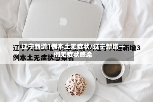 辽宁新增1例本土无症状/辽宁新增一例无症状感染-第1张图片