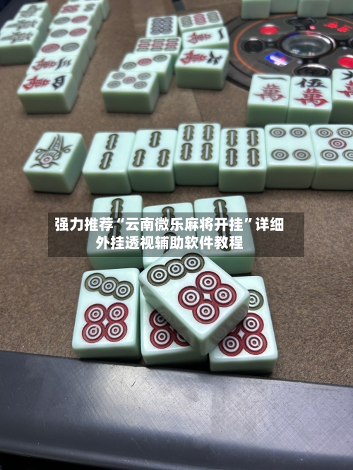 强力推荐“云南微乐麻将开挂”详细外挂透视辅助软件教程-第1张图片