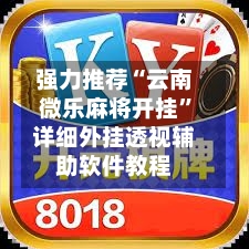 强力推荐“云南微乐麻将开挂”详细外挂透视辅助软件教程-第3张图片
